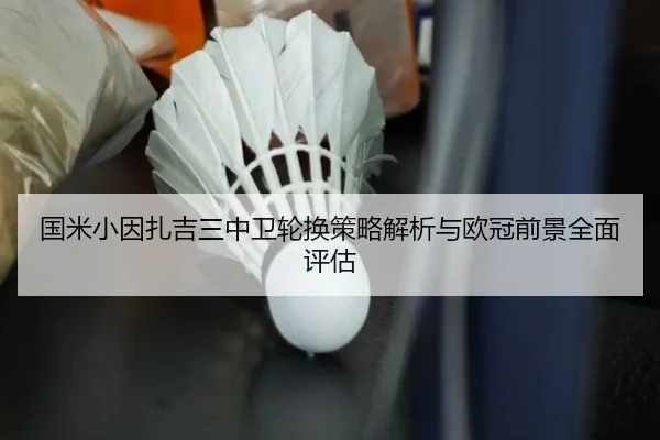 国米小因扎吉三中卫轮换策略解析与欧冠前景全面评估