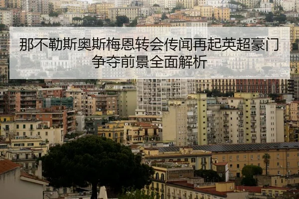 那不勒斯奥斯梅恩转会传闻再起英超豪门争夺前景全面解析